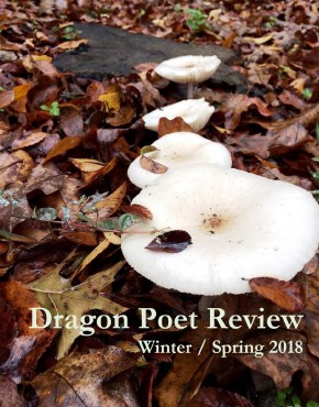 2018 Winter-Spring Issue Dragon Poet Review